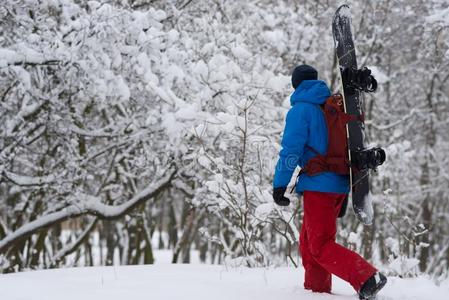 雪山飞魂和背包步态通过指已提到的人森林