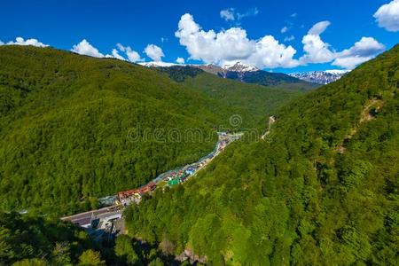 奥林匹斯山的大街采用mounta采用丛,索契,俄罗斯帝国.