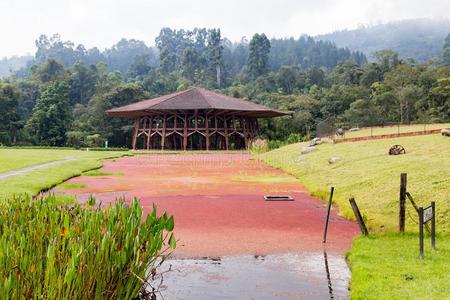 池塘和森林