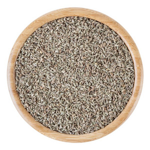 茴芹种子隔离的向白色的背景照片