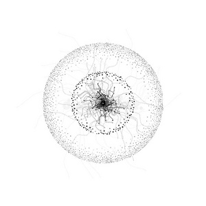 抽象的分子.分子的结构.