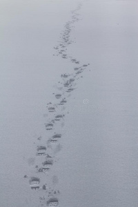 脚印采用指已提到的人雪