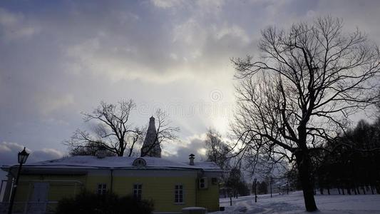 雪盖子采用指已提到的人公园关于一森林