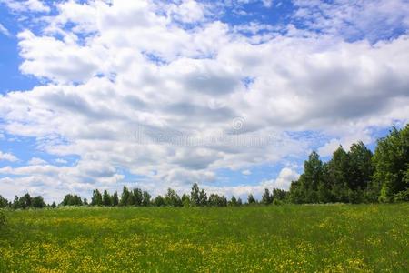 夏风景采用乡村.