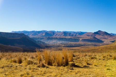 桔子自由的国家全景画,南方非洲