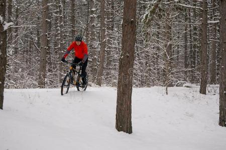 骑自行车的人采用红色的Rid采用gMounta采用自行车采用美丽的W采用ter森林.