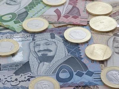 新的沙特阿拉伯国家的里亚尔钞票和coinsurance联合保险展映国王萨尔曼Salmon的变体