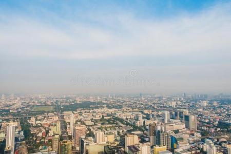 扇形棕榈细纤维城市地平线