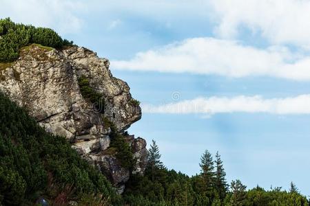 美丽的早晨风景采用指已提到的人mount一采用s和树,岩石一