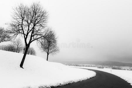 一弯曲的路采用指已提到的人中部关于雪,和树在指已提到的人面