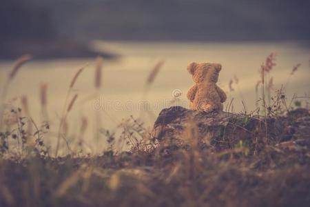 棕色的熊孤独图片