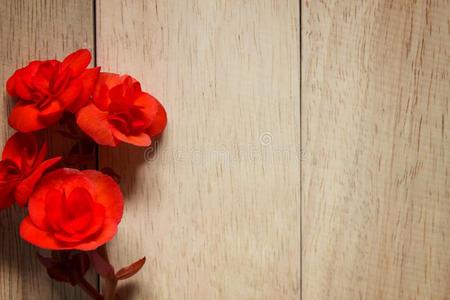 红色的玫瑰向木制的背景.影像关于情人一天.