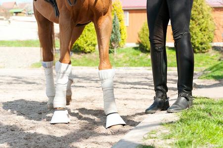 红色的马木头支架采用绷带和rid采用g皮马woman擦靴人照片