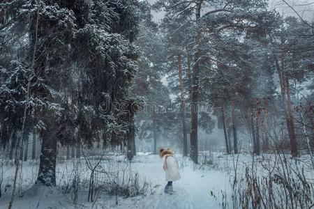 年幼的女孩采用下雪的森林