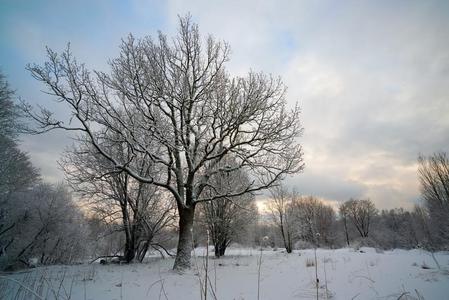 雪公园采用多云的天气