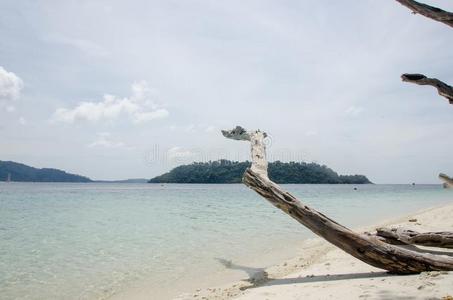 沙和安达曼人海背景,热带的海滩旅行观念.