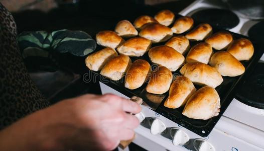 老的传统的家使爱沙尼亚的肉馅饼