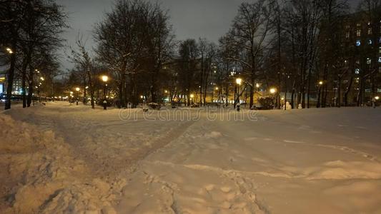 夜看法冬雪采用高尔基公园照片
