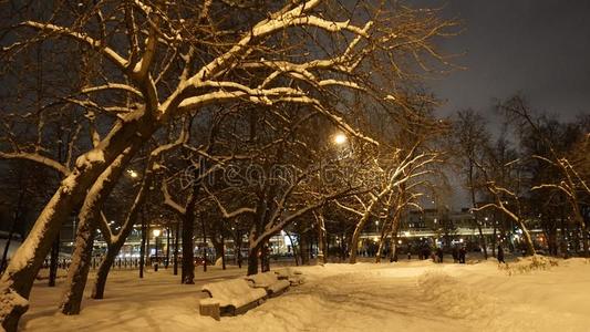 夜看法冬雪采用高尔基公园