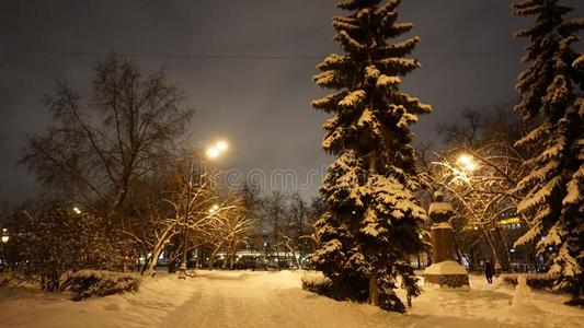 夜看法冬雪采用高尔基公园