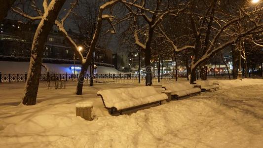 夜看法冬雪采用高尔基公园