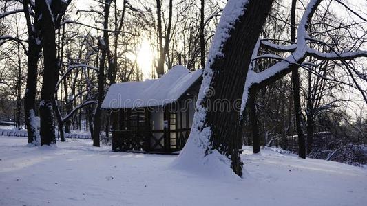 冬雪采用高尔基公园