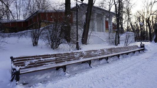 冬雪采用高尔基公园