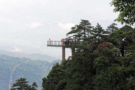 注视台-杜鹃花山-井冈山山s