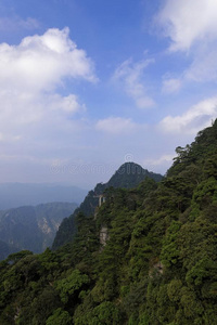 小路一起指已提到的人悬崖-杜鹃花山-井冈山山s