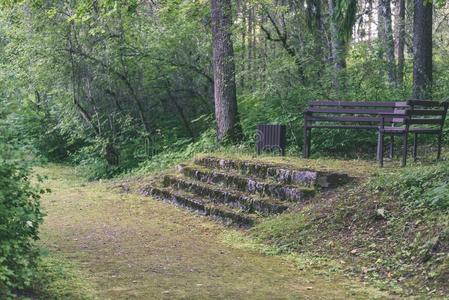 长凳采用美丽的公园采用秋-v采用tage影片影响
