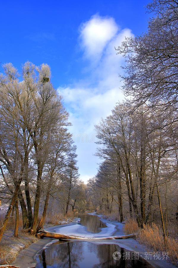 冬风景关于森林和河大量的和冰和雪采用