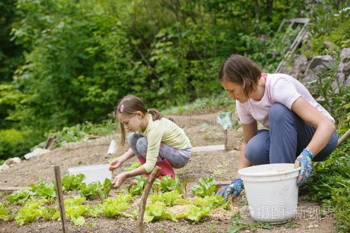 母亲和女儿工作的采用指已提到的人蔬菜花园