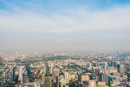 扇形棕榈细纤维城市地平线