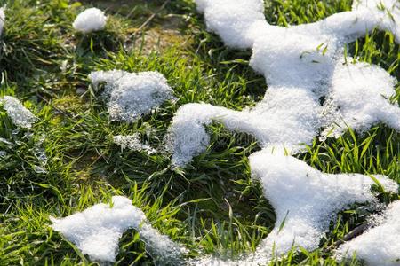 雪向指已提到的人绿色的草采用自然