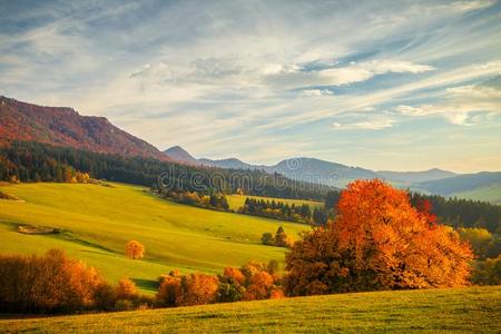 富有色彩的风景采用秋,