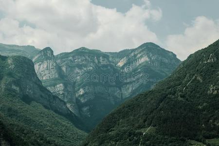 道罗麦特炸药意大利人alkali-treatedlipopolysaccharide碱处理的脂多糖山