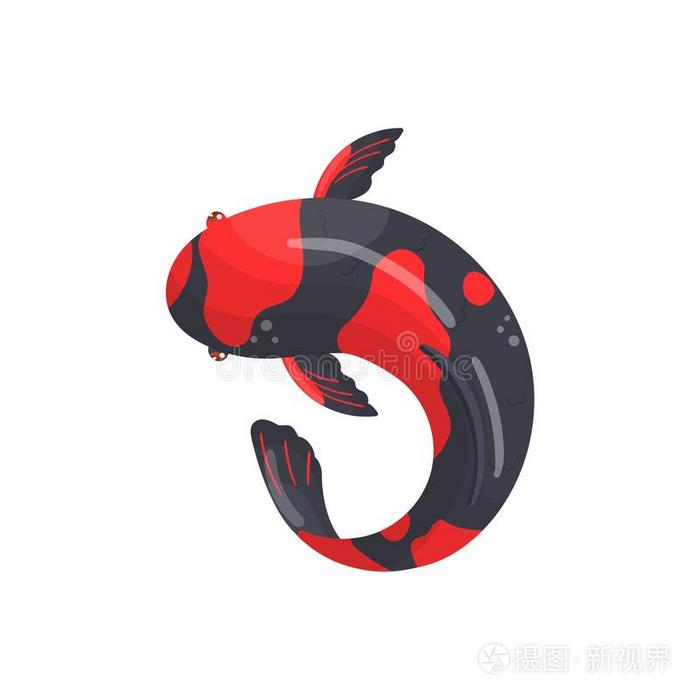 Utsurimono挑剔锦鲤鱼 传统的宗教的日本人鱼vectograp矢量图插画 正版商用图片2sr6ys 摄图新视界