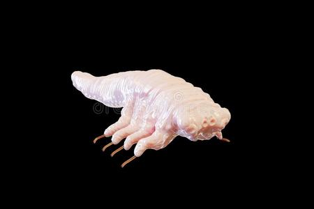 那个原因蠕形螨病illustrati照片