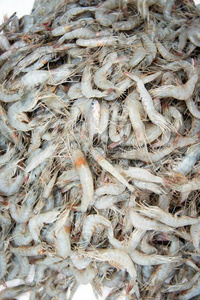 虾向海产食品交易