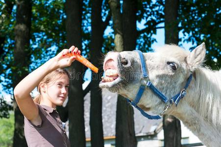 马好吃的东西图片