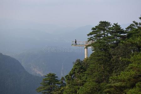 注视台-杜鹃花山-井冈山山s