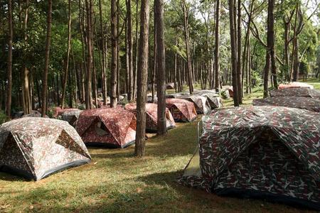 桩关于野营帐篷在指已提到的人营地地点