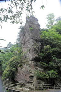 小路一起指已提到的人悬崖-杜鹃花山-井冈山山s