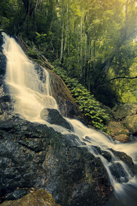 康达利拉降低采用康达利拉降低国家的公园.