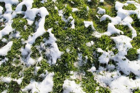 雪向指已提到的人绿色的草采用自然