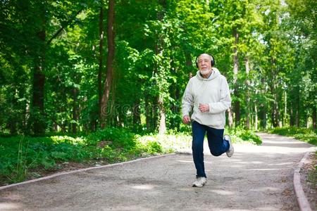 上了年纪的男人跑步采用绿色的森林,复制品空间