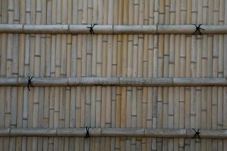 日本人竹子墙背景
