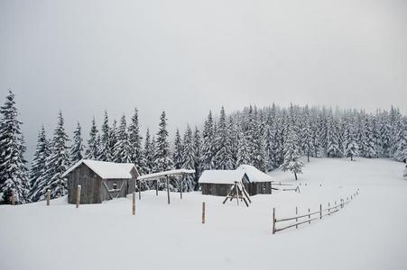 松树树大量的在旁边雪和木制的房屋向山查米克