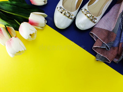 白色的芭蕾舞平的女士鞋子向黄色的和蓝色背景
