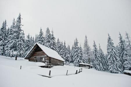 木制的房屋在松树树大量的在旁边雪向山查米克.